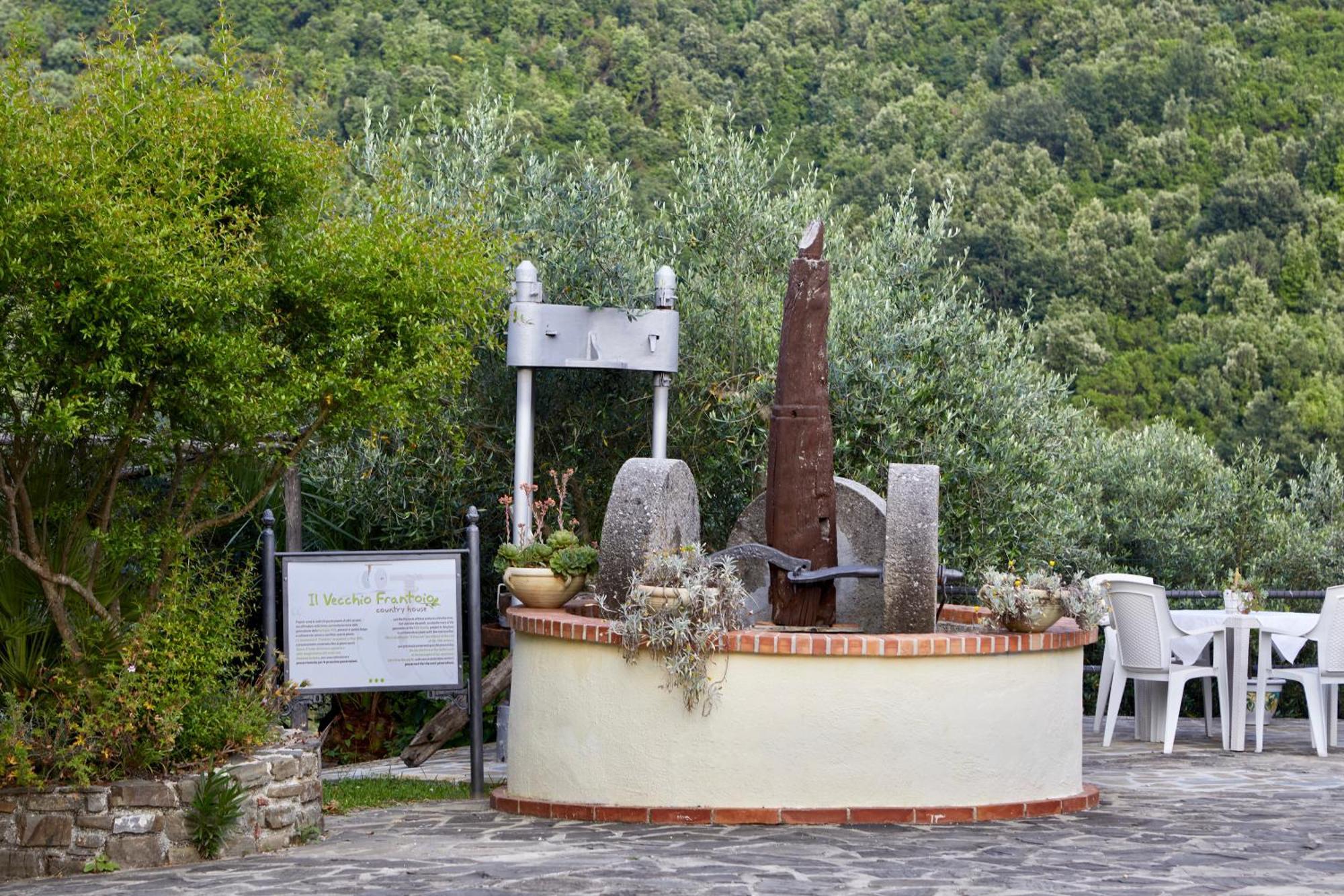 Вілла Il Vecchio Frantoio Stella Cilento Екстер'єр фото